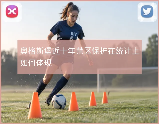 奥格斯堡近十年禁区保护在统计上如何体现