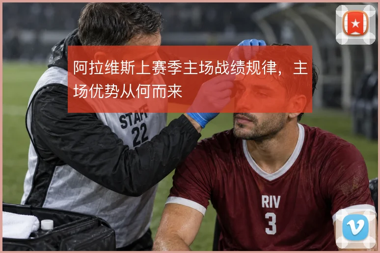 阿拉维斯上赛季主场战绩规律,主场优势从何而来