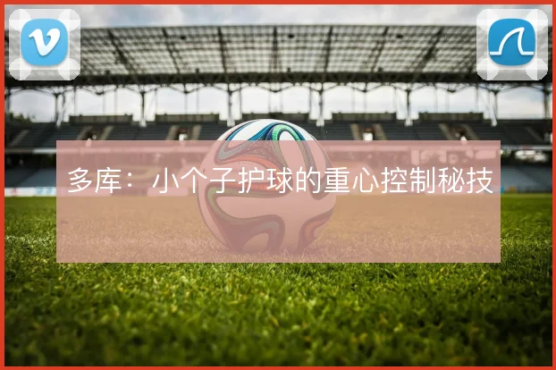 多库：小个子护球的重心控制秘技