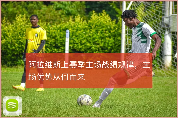 阿拉维斯上赛季主场战绩规律，主场优势从何而来